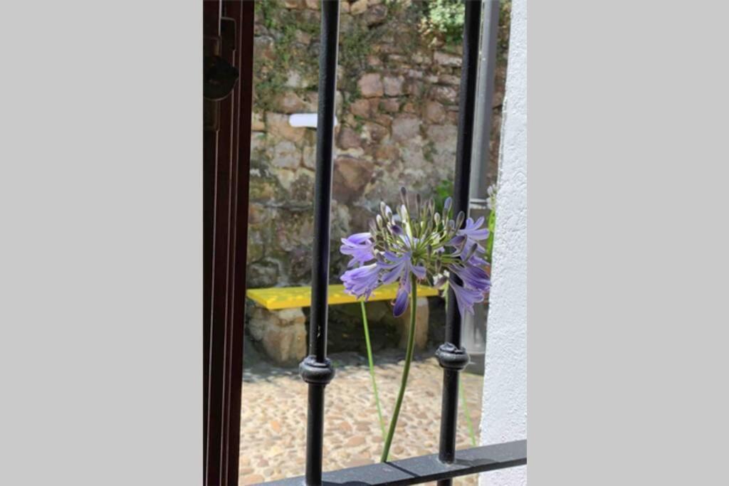 Pexe Na Mar Villa Lastres Dış mekan fotoğraf